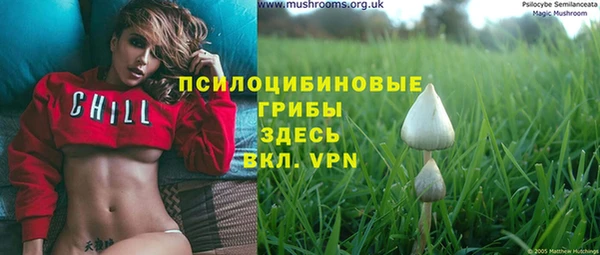 прущая мука Каменка