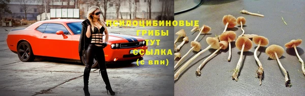 бутират Каменногорск