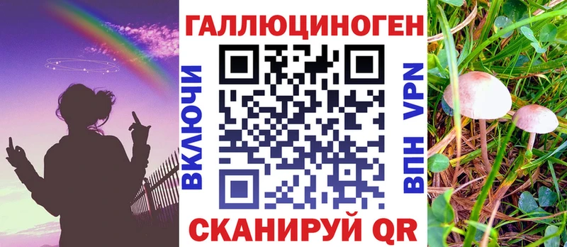 Купить где  Костерёво  Псилоцибиновые грибы Magic Shrooms 